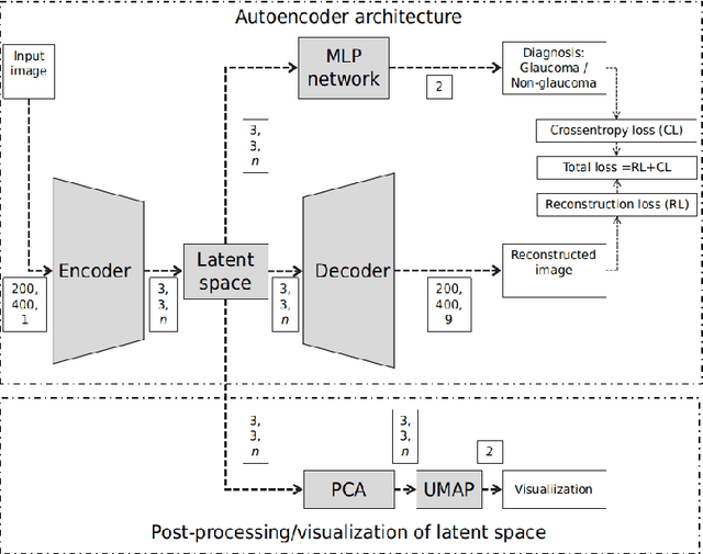 Figure 3 for Describing the Structural Phenotype of the Glaucomatous Optic Nerve Head Using Artificial Intelligence