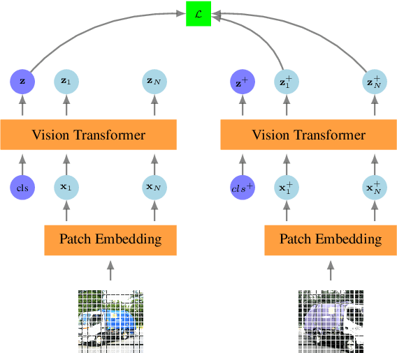 Figure 1 for Self-Supervised Pre-training of Vision Transformers for Dense Prediction Tasks