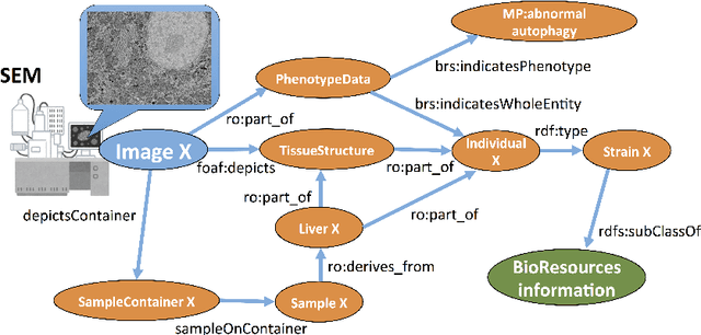 Figure 2 for Development of an Ontology for an Integrated Image Analysis Platform to enable Global Sharing of Microscopy Imaging Data