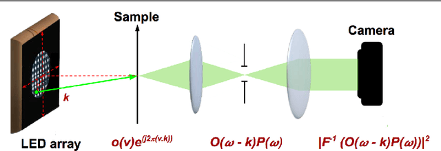 Figure 1 for Phase retrieval for Fourier Ptychography under varying amount of measurements