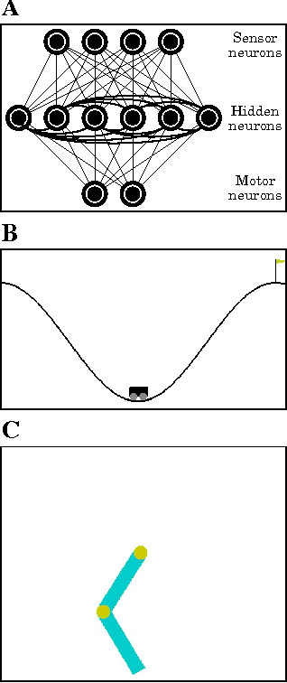 Figure 2 for Criticality as It Could Be: organizational invariance as self-organized criticality in embodied agents