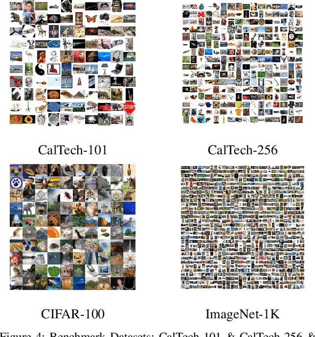 Figure 4 for CRL: Class Representative Learning for Image Classification