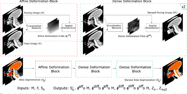 Figure 1 for Atlas Based Segmentations via Semi-Supervised Diffeomorphic Registrations