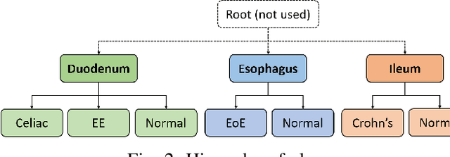 Figure 2 for Hierarchical Deep Convolutional Neural Networks for Multi-category Diagnosis of Gastrointestinal Disorders on Histopathological Images
