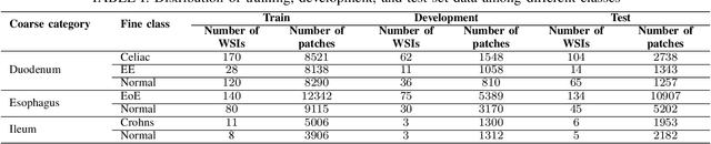Figure 4 for Hierarchical Deep Convolutional Neural Networks for Multi-category Diagnosis of Gastrointestinal Disorders on Histopathological Images