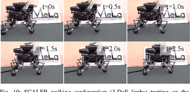 Figure 2 for SCALER: A Tough Versatile Quadruped Free-Climber Robot