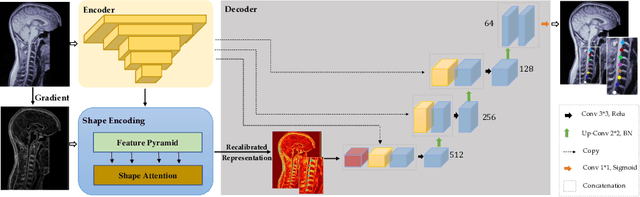 Figure 1 for Intervertebral Disc Labeling With Learning Shape Information, A Look Once Approach