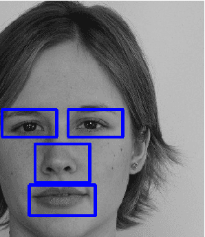 Figure 1 for Sequential Clustering based Facial Feature Extraction Method for Automatic Creation of Facial Models from Orthogonal Views