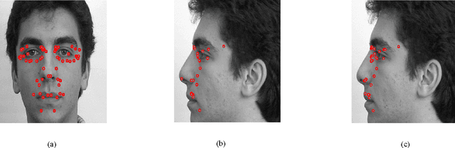 Figure 4 for Sequential Clustering based Facial Feature Extraction Method for Automatic Creation of Facial Models from Orthogonal Views