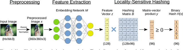 Figure 1 for Learning to Break Deep Perceptual Hashing: The Use Case NeuralHash