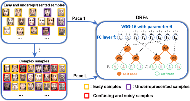 Figure 1 for Self-Paced Deep Regression Forests with Consideration on Underrepresented Samples