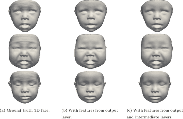 Figure 4 for BabyNet: Reconstructing 3D faces of babies from uncalibrated photographs