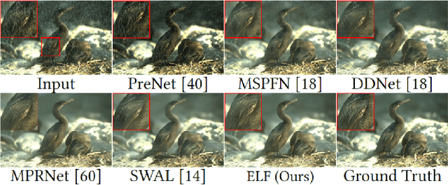 Figure 1 for Magic ELF: Image Deraining Meets Association Learning and Transformer