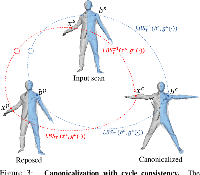 Figure 4 for SCANimate: Weakly Supervised Learning of Skinned Clothed Avatar Networks