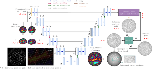 Figure 1 for A Deep-Discrete Learning Framework for Spherical Surface Registration