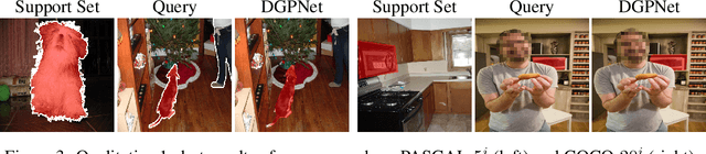 Figure 4 for Dense Gaussian Processes for Few-Shot Segmentation