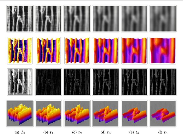 Figure 1 for Image decomposition with anisotropic diffusion applied to leaf-texture analysis