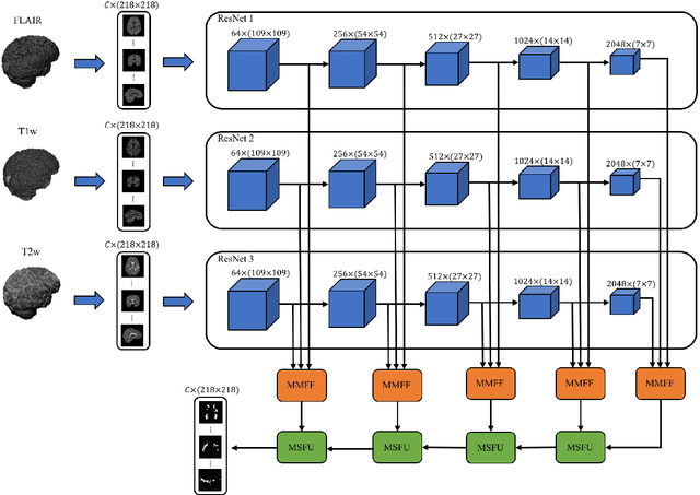 Figure 3 for Multi-branch Convolutional Neural Network for Multiple Sclerosis Lesion Segmentation