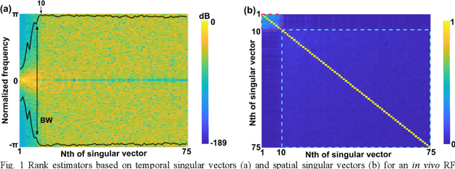 Figure 1 for Spatiotemporal singular value decomposition for denoising in photoacoustic imaging with low-energy excitation light source