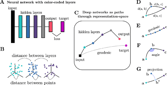 Figure 1 for Neural Networks as Paths through the Space of Representations