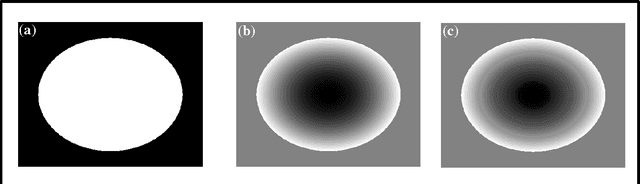 Figure 1 for Higher dimensional homodyne filtering for suppression of incidental phase artifacts in multichannel MRI