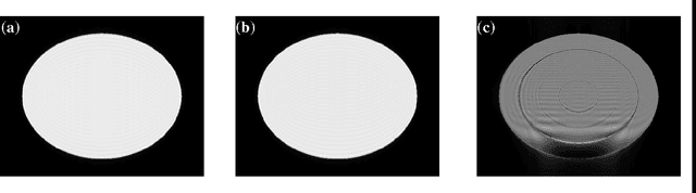 Figure 2 for Higher dimensional homodyne filtering for suppression of incidental phase artifacts in multichannel MRI