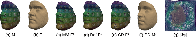 Figure 2 for Unsupervised Diffeomorphic Surface Registration and Non-Linear Modelling