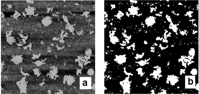 Figure 3 for Improving the Segmentation of Scanning Probe Microscope Images using Convolutional Neural Networks