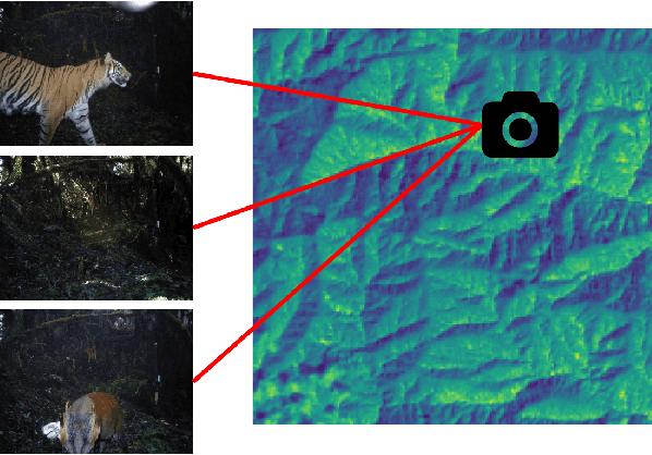 Figure 1 for The iWildCam 2020 Competition Dataset