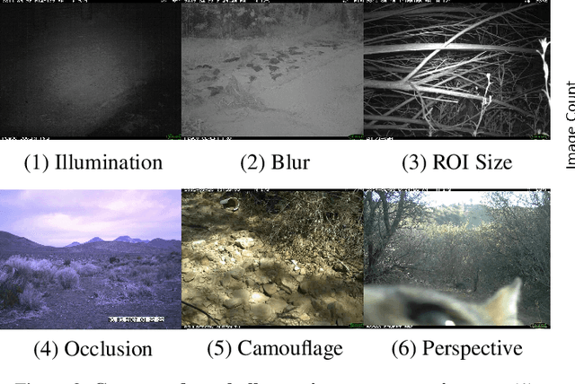 Figure 2 for The iWildCam 2020 Competition Dataset