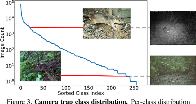 Figure 3 for The iWildCam 2020 Competition Dataset