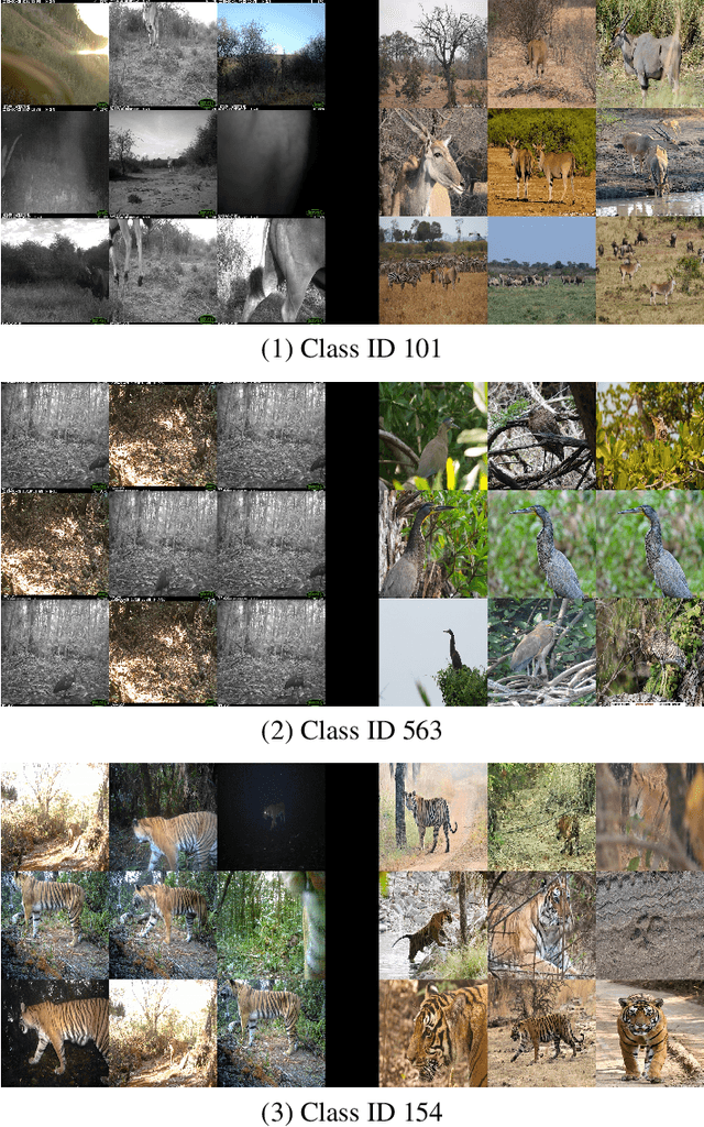 Figure 4 for The iWildCam 2020 Competition Dataset