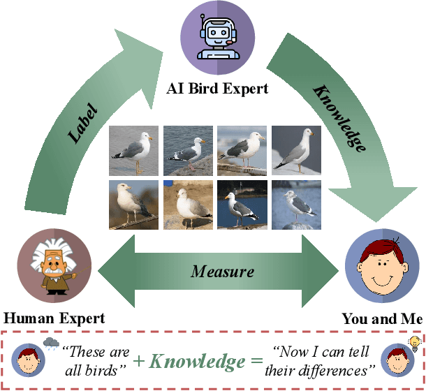 Figure 1 for Making a Bird AI Expert Work for You and Me