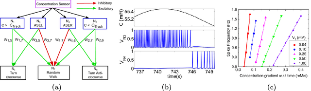 Figure 2 for Sub-threshold CMOS Spiking Neuron Circuit Design for Navigation Inspired by C. elegans Chemotaxis