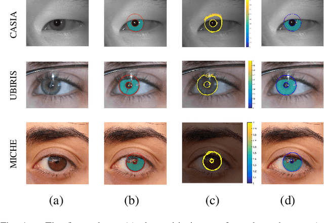 Figure 1 for Joint Iris Segmentation and Localization Using Deep Multi-task Learning Framework