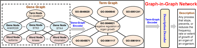 Figure 3 for Graph-in-Graph Network for Automatic Gene Ontology Description Generation