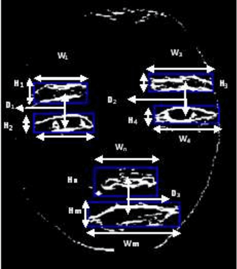 Figure 3 for Automatic facial feature extraction and expression recognition based on neural network