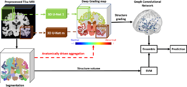 Figure 2 for Interpretable differential diagnosis for Alzheimer's disease and Frontotemporal dementia