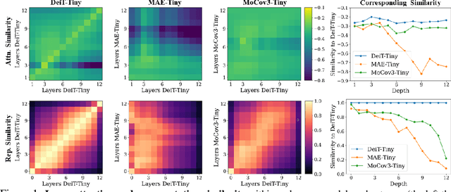 Figure 2 for A Closer Look at Self-supervised Lightweight Vision Transformers