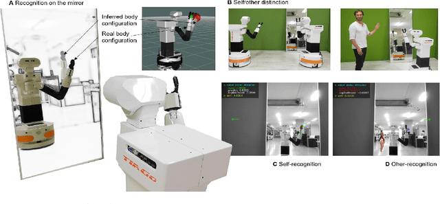 Figure 1 for Robot self/other distinction: active inference meets neural networks learning in a mirror
