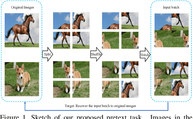 Figure 1 for Jigsaw Clustering for Unsupervised Visual Representation Learning