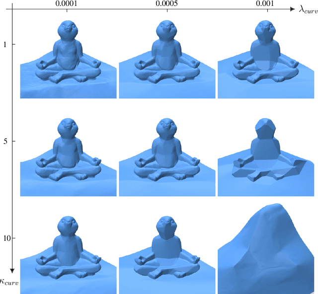 Figure 4 for NeRF, meet differential geometry!