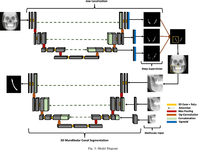 Figure 2 for Dual-Stage Deeply Supervised Attention-based Convolutional Neural Networks for Mandibular Canal Segmentation in CBCT Scans