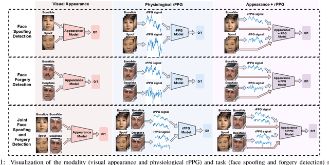 Figure 1 for Benchmarking Joint Face Spoofing and Forgery Detection with Visual and Physiological Cues