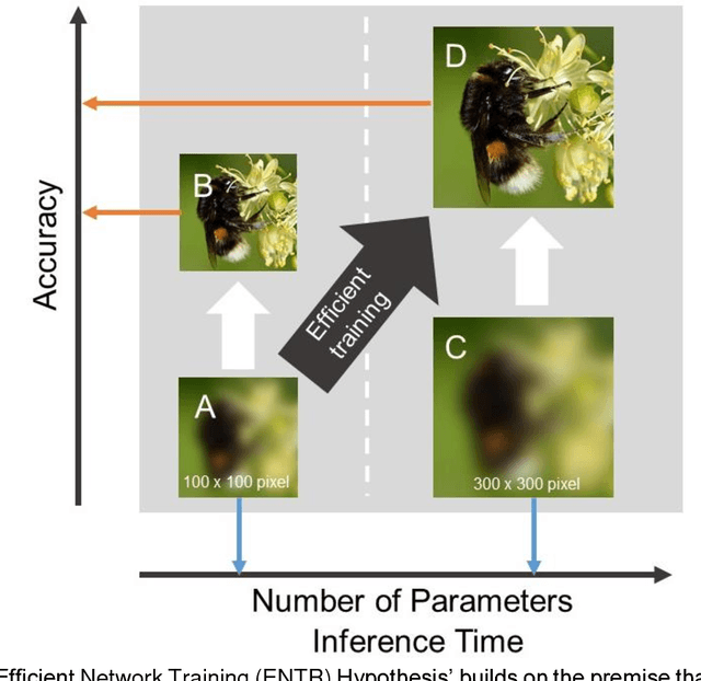 Figure 1 for Testing the Efficient Network TRaining (ENTR) Hypothesis: initially reducing training image size makes Convolutional Neural Network training for image recognition tasks more efficient