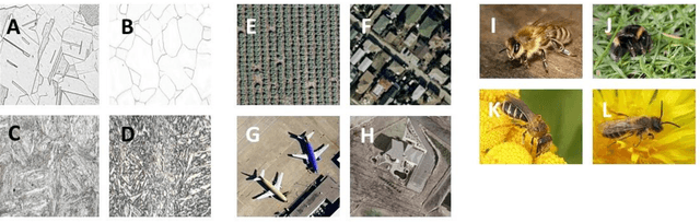 Figure 3 for Testing the Efficient Network TRaining (ENTR) Hypothesis: initially reducing training image size makes Convolutional Neural Network training for image recognition tasks more efficient