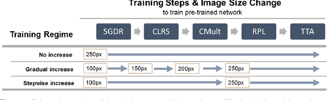 Figure 4 for Testing the Efficient Network TRaining (ENTR) Hypothesis: initially reducing training image size makes Convolutional Neural Network training for image recognition tasks more efficient