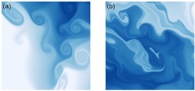 Figure 1 for Neural Vortex Method: from Finite Lagrangian Particles to Infinite Dimensional Eulerian Dynamics