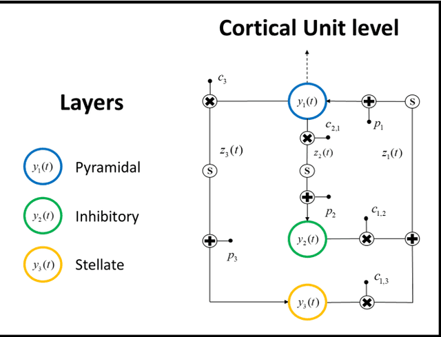 Figure 1 for Computational tool to study high dimensional dynamic in NMM