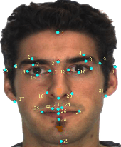 Figure 1 for Mitigating Bias in Facial Analysis Systems by Incorporating Label Diversity